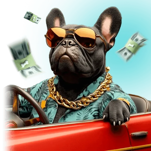 Baxterbet rejestracja